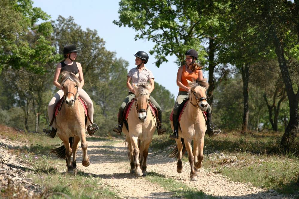 Poney club à Les Herbiers