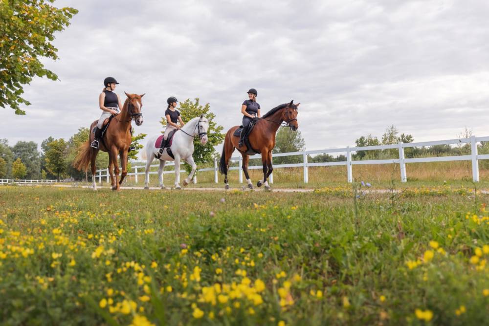 Equitation à Les Herbiers