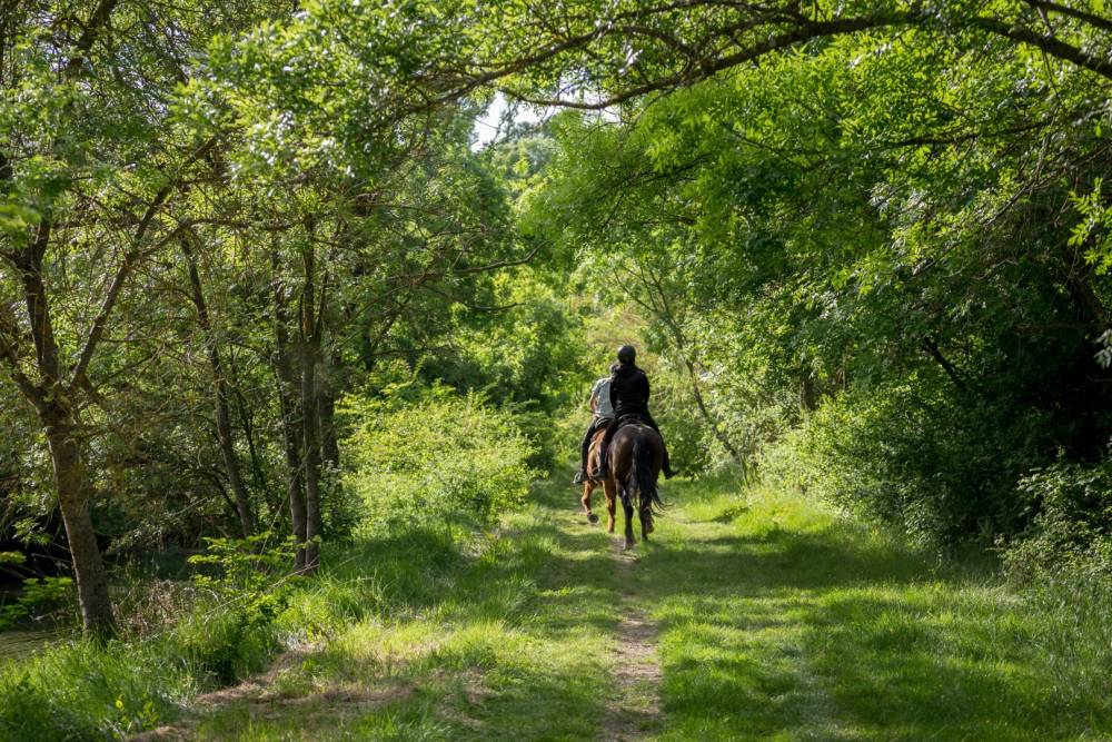 Balade cheval à Les Herbiers