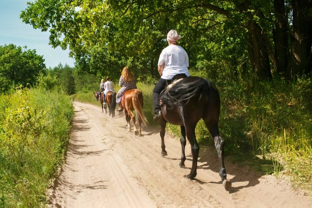 Randonnée cheval à Les Herbiers