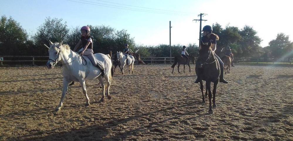 Enfants cheval manége