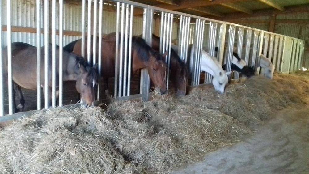 Box cheval