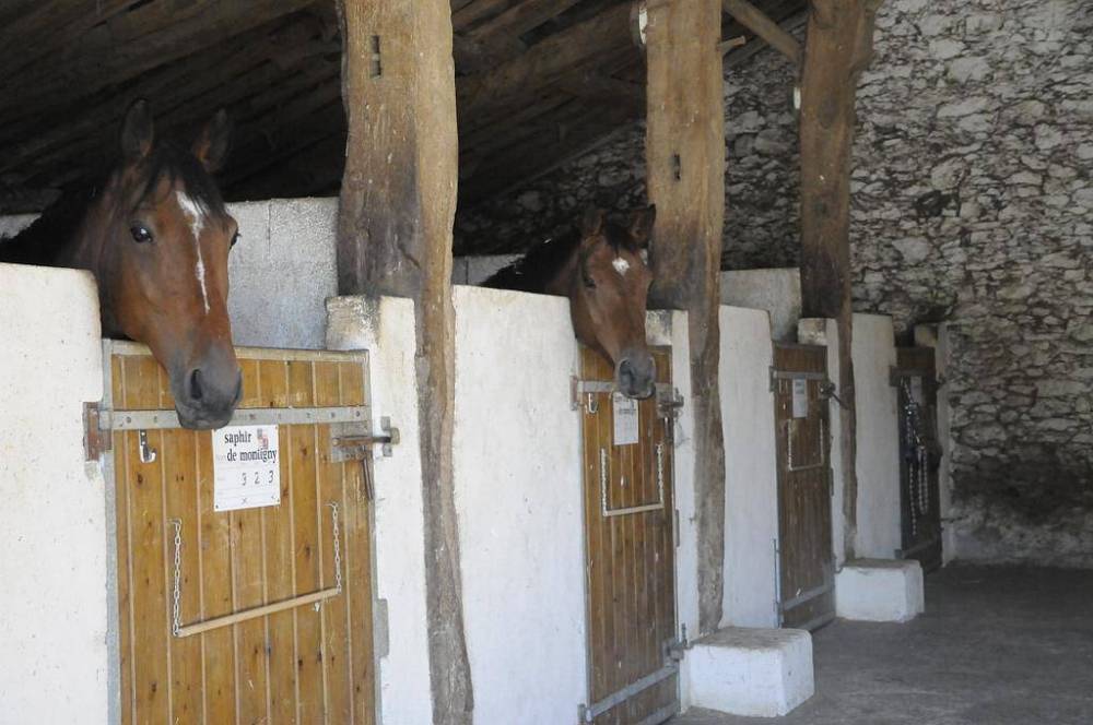 cheval box