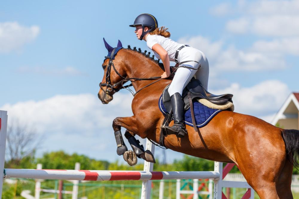 cavaliere