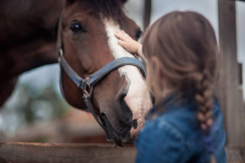 cheval
